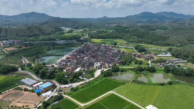 园田村最新新闻动态报道