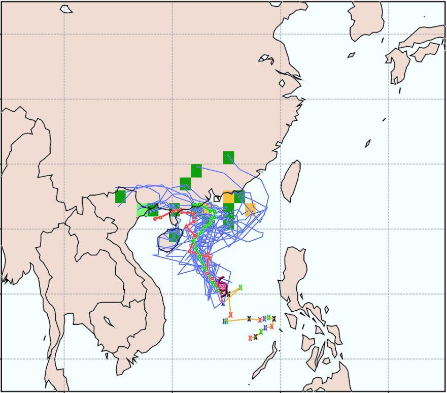 最新台风14号来袭，影响及应对战略