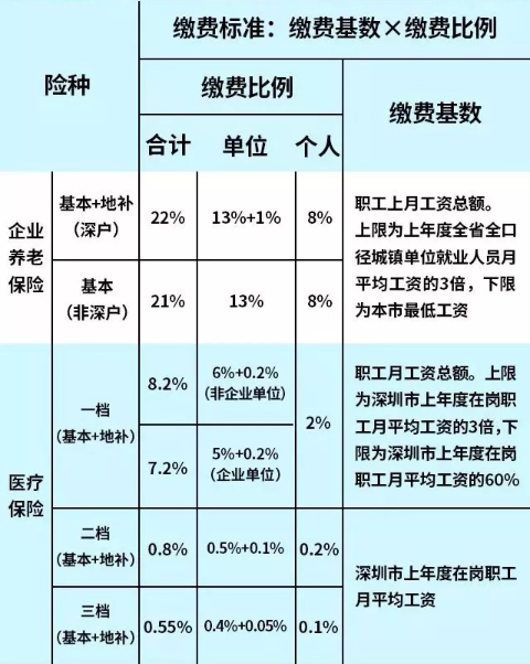 深度剖析，最新社保比例动态及其影响与展望