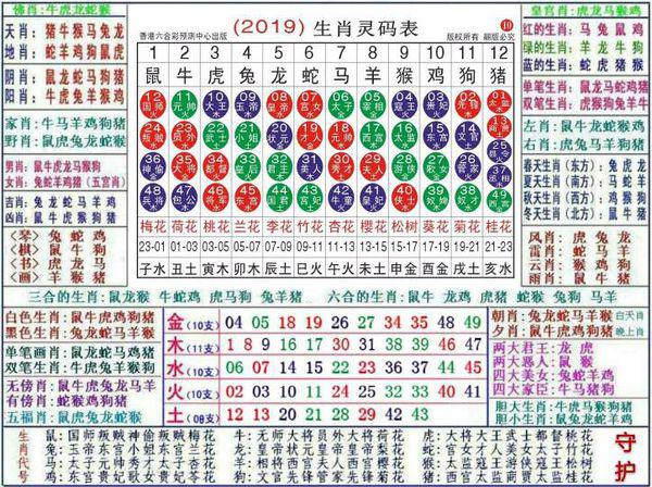 澳门正版资料大全资料生肖卡，实地数据验证战略