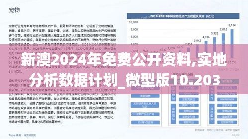 2024新澳正版资料最新更新，数据支持计划设计，潮流版4.749