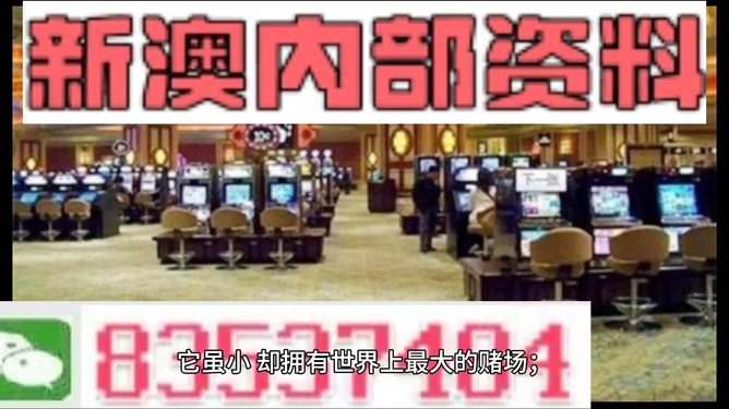 2024新澳门正版资料大全视频，实地解读说明，运动版52.990