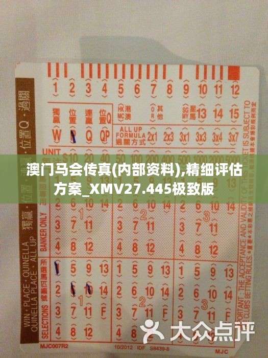 马会传真，准确资料解释落实，工具版10.872