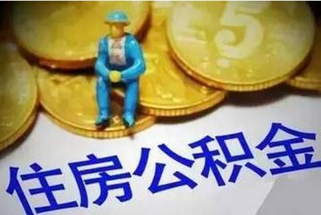 社保最新比例详解，深入了解与探讨