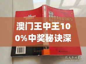 2025澳门王中王100%期期中,实证解读说明