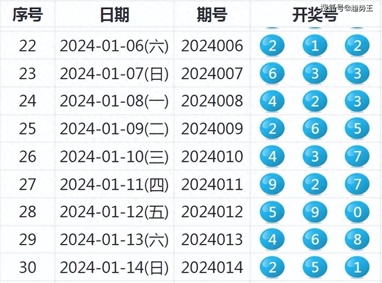 2025年澳门开奖结果,实地数据分析方案