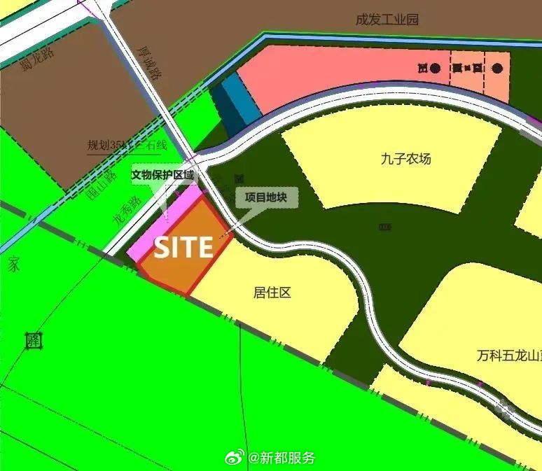 新都区初中未来教育蓝图，最新生长妄想揭秘